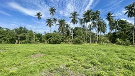 Land for sale in Mae Nam, Surat Thani