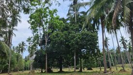 Land for sale in Na Mueang, Surat Thani