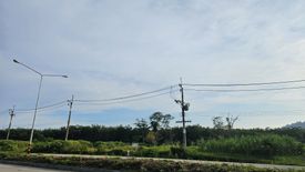 Land for sale in Pa Khlok, Phuket
