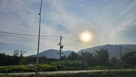 Land for sale in Pa Khlok, Phuket