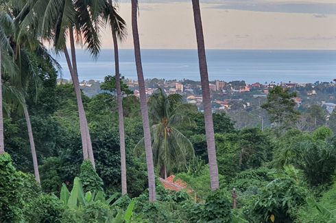 Land for sale in Bo Phut, Surat Thani