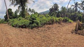 Land for sale in Taling Ngam, Surat Thani