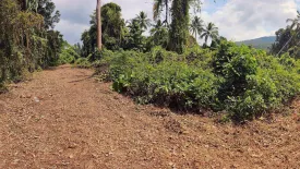 Land for sale in Taling Ngam, Surat Thani