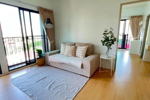 1 Bedroom Condo for rent in The Tree Sukhumvit 71 - Ekamai, Suan Luang, Bangkok near Airport Rail Link Ramkhamhaeng