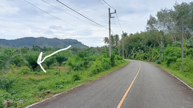 Land for sale in Thep Krasatti, Phuket
