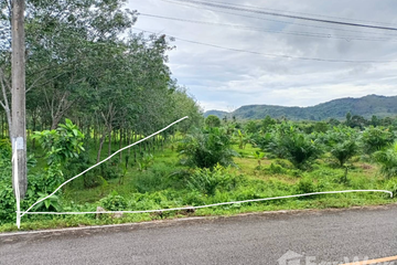 Land for sale in Thep Krasatti, Phuket