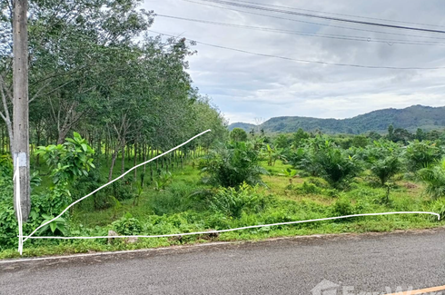 Land for sale in Thep Krasatti, Phuket
