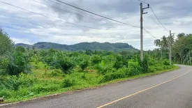 Land for sale in Thep Krasatti, Phuket
