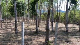 Land for sale in Thep Krasatti, Phuket