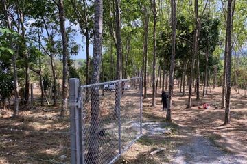 Land for sale in Thep Krasatti, Phuket