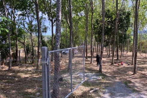 Land for sale in Thep Krasatti, Phuket