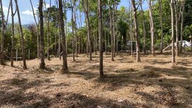 Land for sale in Thep Krasatti, Phuket