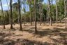 Land for sale in Thep Krasatti, Phuket