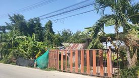 Land for sale in Nong Chom, Chiang Mai