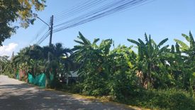 Land for sale in Nong Chom, Chiang Mai
