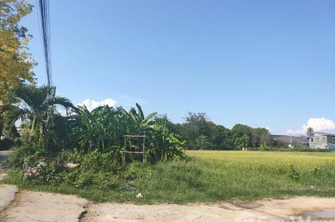 Land for sale in Nong Chom, Chiang Mai