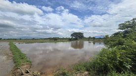 Land for sale in Buak Khang, Chiang Mai