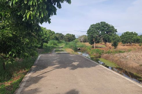 Land for sale in Thung Tom, Chiang Mai