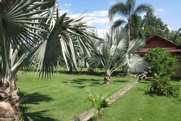 Land for sale in Nam Phrae, Chiang Mai
