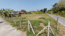 Land for sale in Nong Yaeng, Chiang Mai