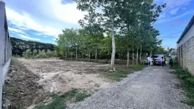 Land for sale in Tha Wang Tan, Chiang Mai