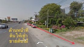 Land for sale in Cha am, Phetchaburi