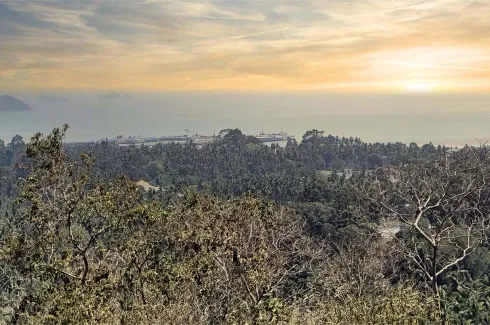 Land for sale in Ang Thong, Surat Thani