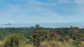 Land for sale in Ang Thong, Surat Thani