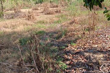 Land for sale in Klaeng, Rayong