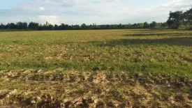 Land for sale in Phak Top, Udon Thani