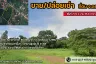 Land for sale in Wang Krachae, Trat