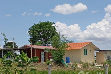 Land for sale in Nong Bom Kluai, Uthai Thani