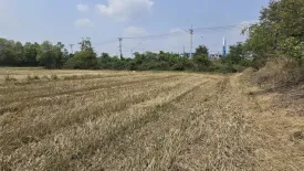 Land for sale in Lumphli, Phra Nakhon Si Ayutthaya
