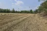 Land for sale in Lumphli, Phra Nakhon Si Ayutthaya