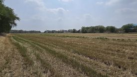 Land for sale in Lumphli, Phra Nakhon Si Ayutthaya