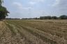 Land for sale in Lumphli, Phra Nakhon Si Ayutthaya