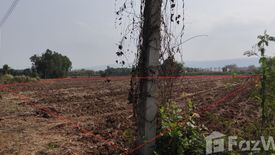 Land for sale in Wang Thong, Phitsanulok