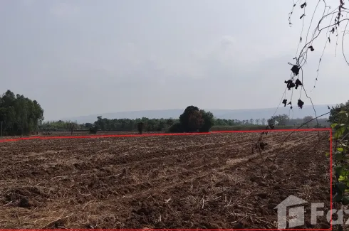 Land for sale in Wang Thong, Phitsanulok