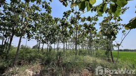 Land for sale in Hua Pluak, Saraburi