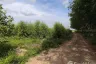 Land for sale in That Thong, Chonburi