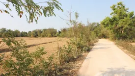 Land for sale in Phen, Udon Thani