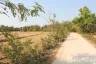 Land for sale in Phen, Udon Thani