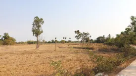 Land for sale in Phen, Udon Thani