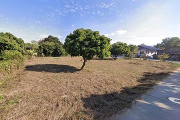Land for sale in Buak Khang, Chiang Mai
