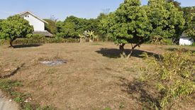 Land for sale in Buak Khang, Chiang Mai