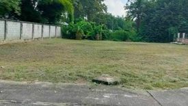 Land for sale in Khun Khong, Chiang Mai