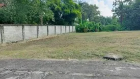 Land for sale in Khun Khong, Chiang Mai