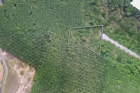 Land for sale in Pa Khlok, Phuket