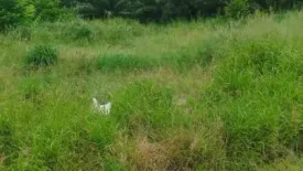 Land for sale in Thap Tai, Prachuap Khiri Khan