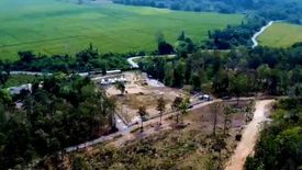 Land for sale in Nong Yaeng, Chiang Mai